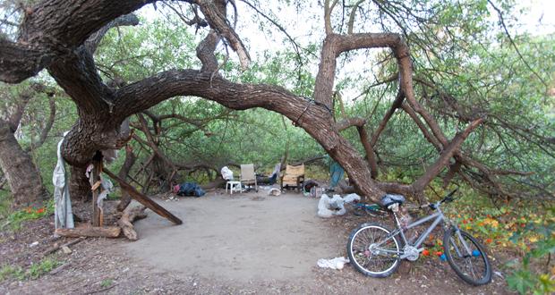 Man found dead in this homeless camp late Tuesday night