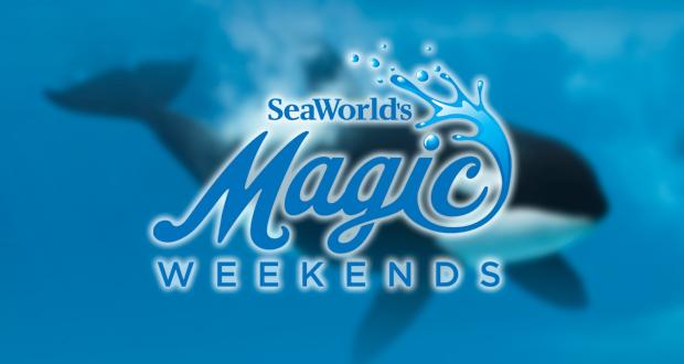 SeaWorld+has+the+Magic+Touch