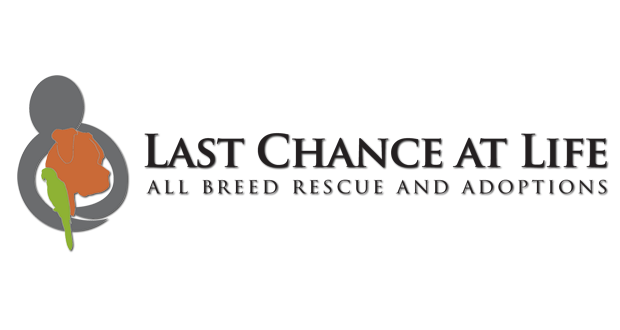 Last+Chance+at+Life+Launches+Shoe+Collection+Drive