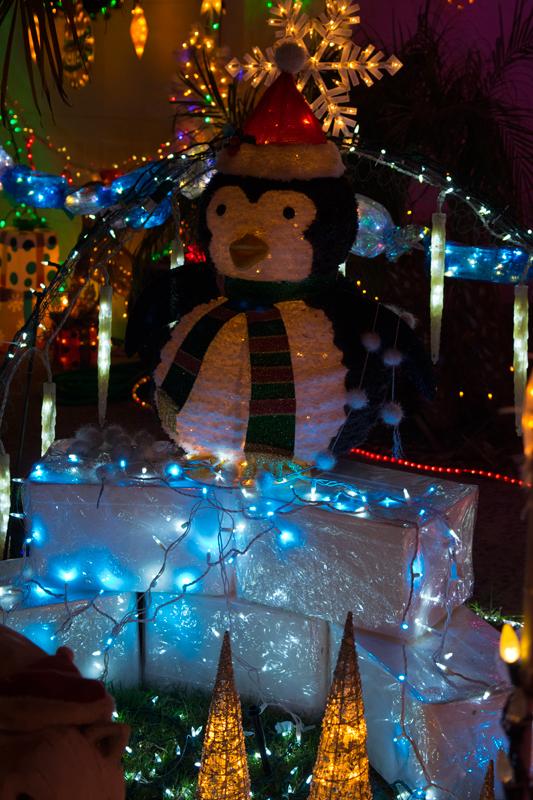 Spectacular Christmas Light Display a Labor of Love for Cancer Survivor