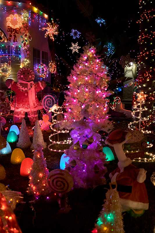 Spectacular Christmas Light Display a Labor of Love for Cancer Survivor