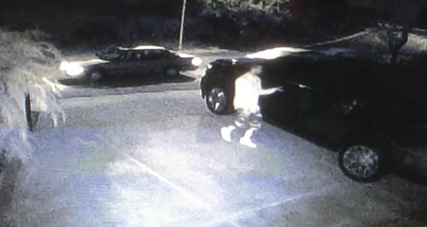 Crime Stoppers: Vista Car Burglary Suspect