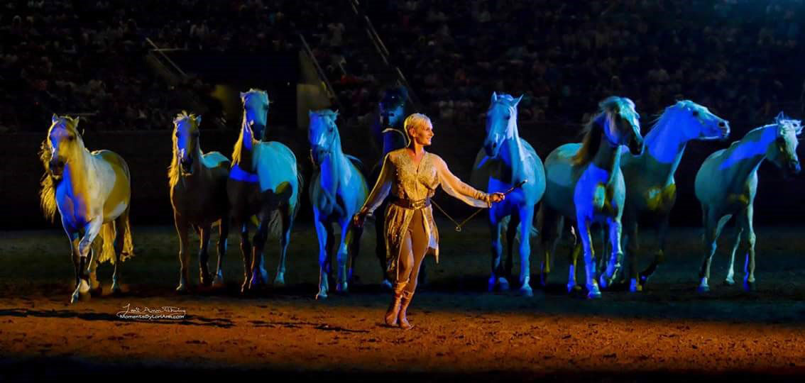 72nd Del Mar National Horse Show’s First Week Features Spectacular