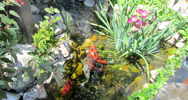 Photo courtesy: San Clemente Garden Club 