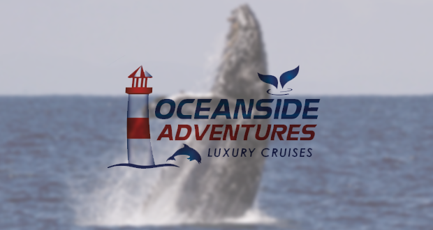 Sunset+Whale+Watching+and+Wine+Tasting+Cruises+with+Oceanside+Adventures