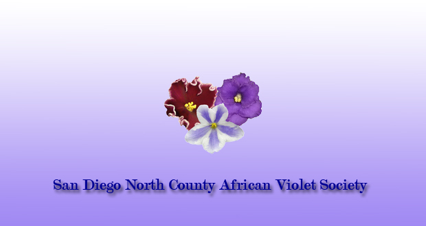 San+Diego+County+African+Violet+Society+August+Meeting