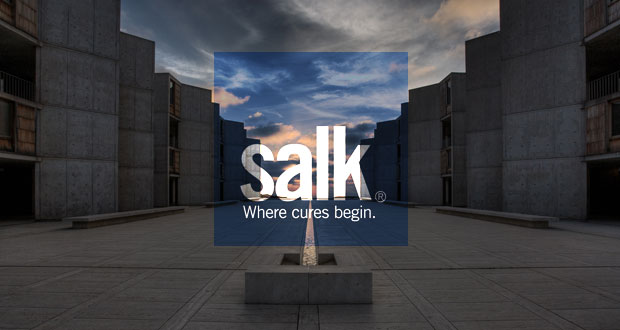 Salk Institute Receives $2 million for Cancer Research Initiative – North  Coast Current