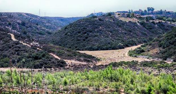 SANDAG+will+Preserve+Nearly+112+Acres+of+Habitat+in+Carmel+Valley