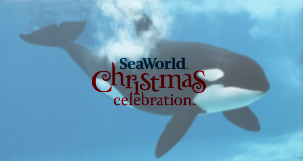 SeaWorld%E2%80%99s+Christmas+Celebration+has+So+Much+To+%E2%80%98Sea%E2%80%99+and+Do