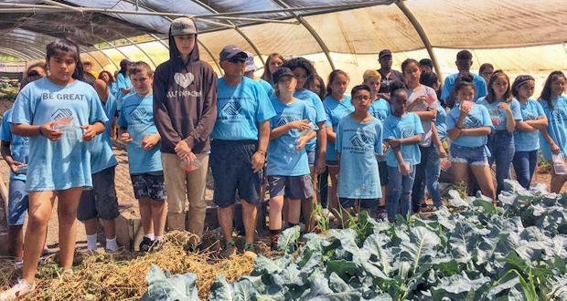 BGCO+teens+took+a+field+trip+to+Valley+Heights+Ranch%2C+where+they+were+able+to+harvest+strawberries+to+take+home.+%28Photo+courtesy%3A+BGCOceanside%29