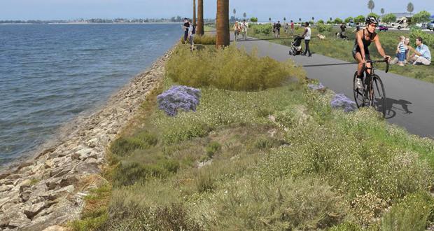 Opened to public, filled with bikers and pedestrians enjoying the scenery (Photo courtesy: Campland on the Bay)