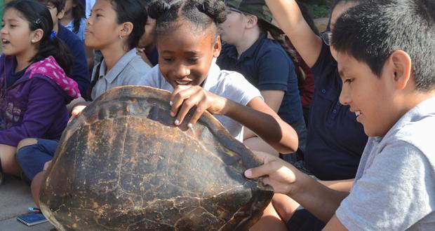 Turtle discovery (Photo courtesy: San Diego Foundation)