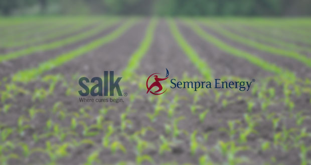 Salk+Institute+and+Sempra+Energy+Announce+Project+to+Advance+Plant-based+Carbon+Capture+and+Storage+Research
