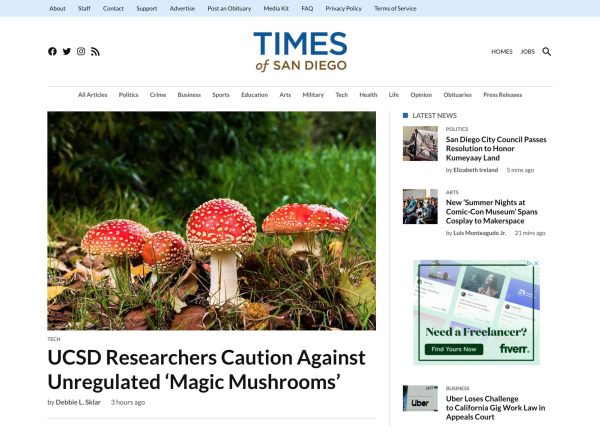 The Times of San Diego news site is pictured June 10. (Screen capture)
