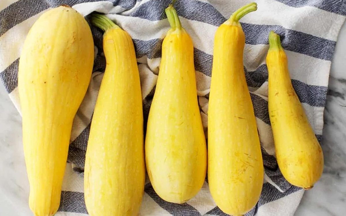 The mild flavor of summer squash lends itself to adaptation to a variety of dishes. (Photo by Laura Macklem)