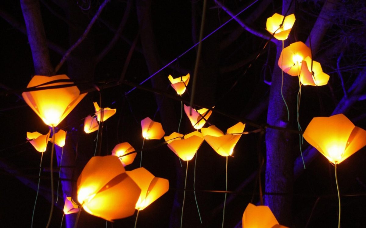 Lightscape returns for its third season Nov. 15-Jan. 5 at the San Diego Botanic Garden in Encinitas. (Courtesy photo)